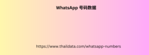 WhatsApp 号码数据