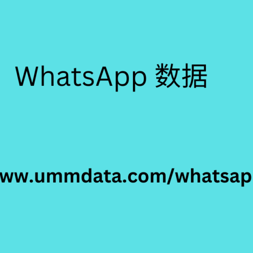 WhatsApp 数据