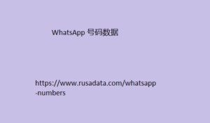 WhatsApp 号码数据