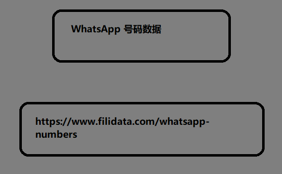 WhatsApp 号码数据